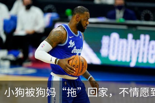 小狗被狗妈“拖”回家，不情愿到连爪子都在控诉：我还要玩！
