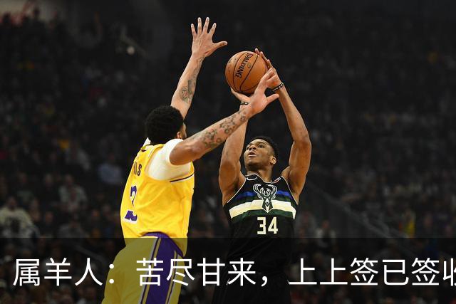 属羊人：苦尽甘来，上上签已签收，八十一难已过完，无灾无难